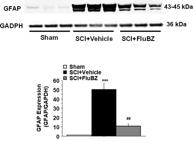 FIG. 8.