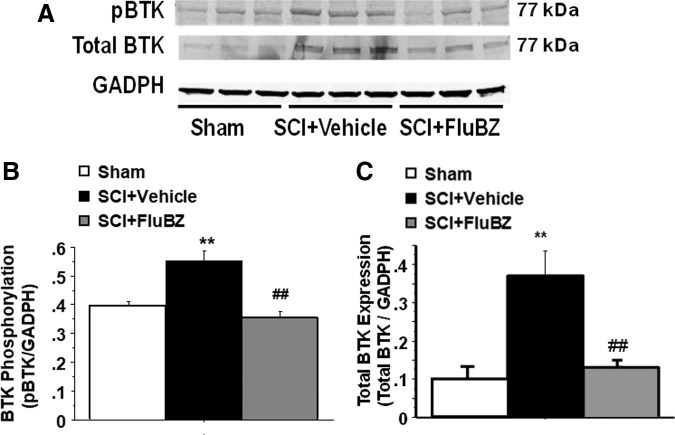 FIG. 9.