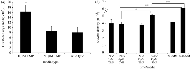 Figure 3.