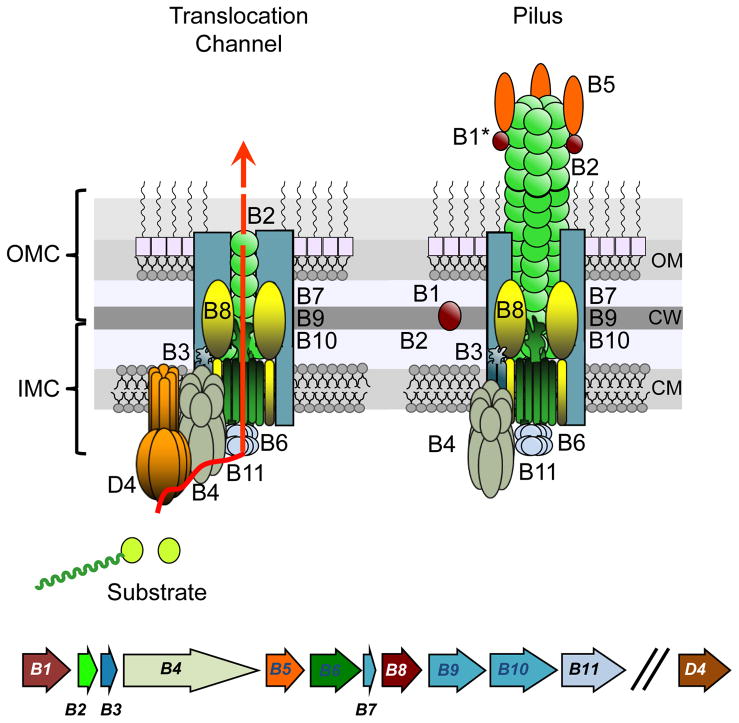 FIG. 2