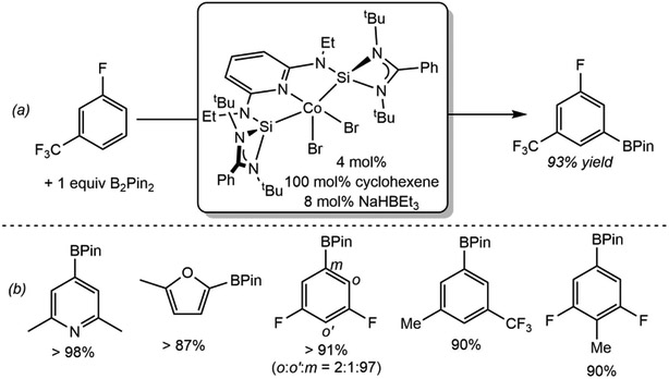 Scheme 23.