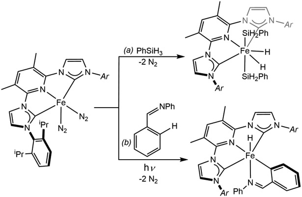 Scheme 7.