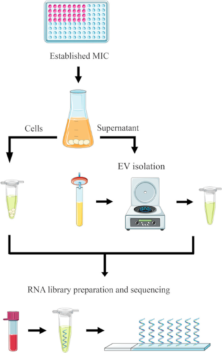 FIG 1