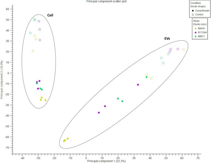 FIG 6