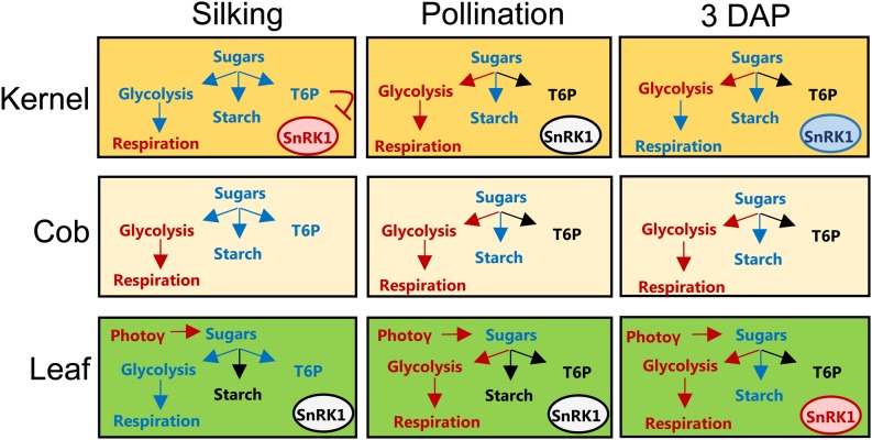 Figure 12.