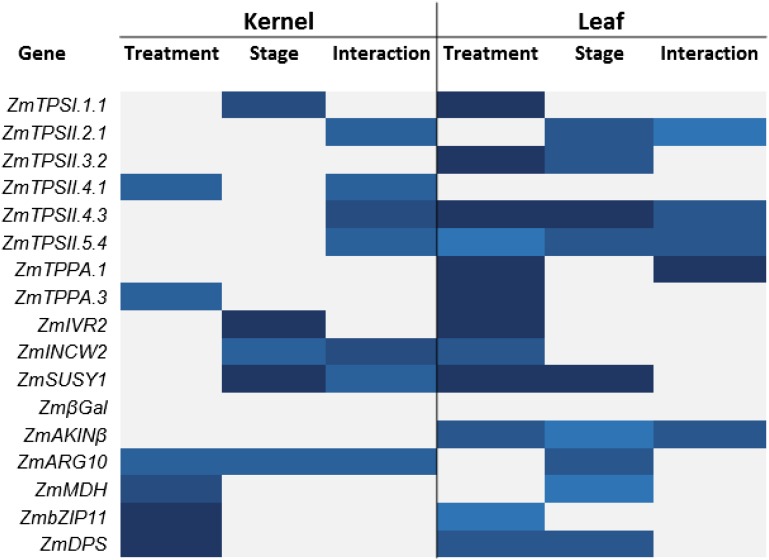 Figure 11.