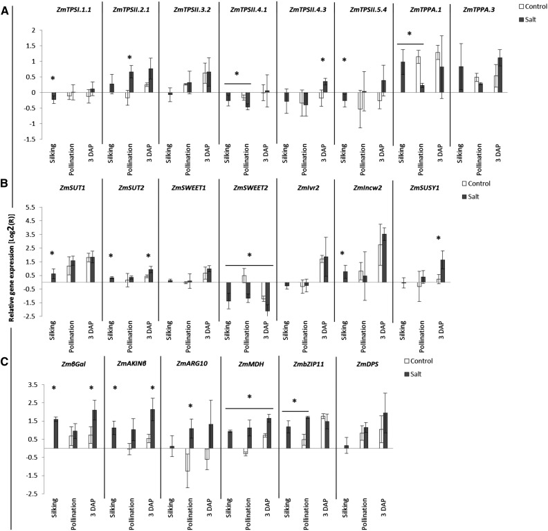 Figure 10.