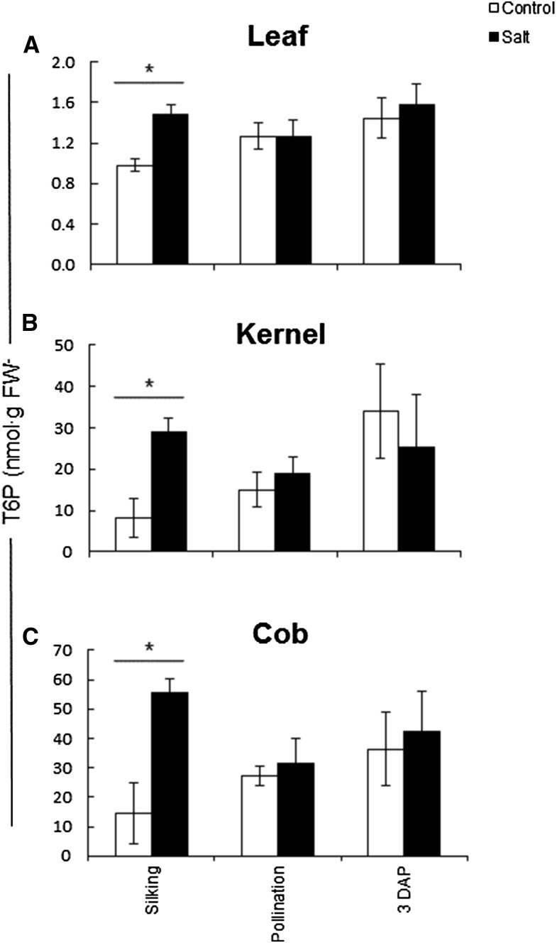 Figure 5.