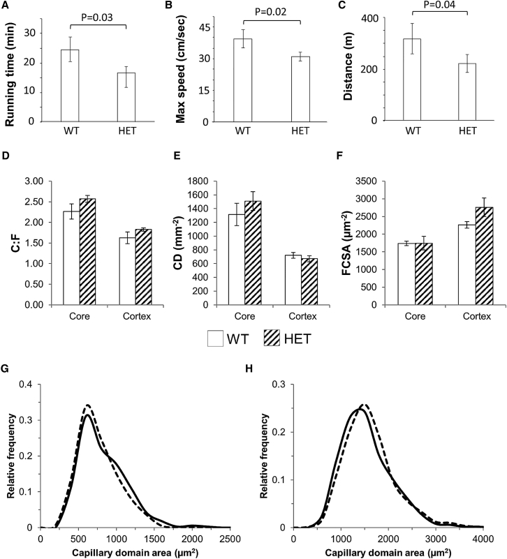 Figure 7