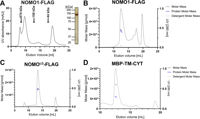 Figure 7