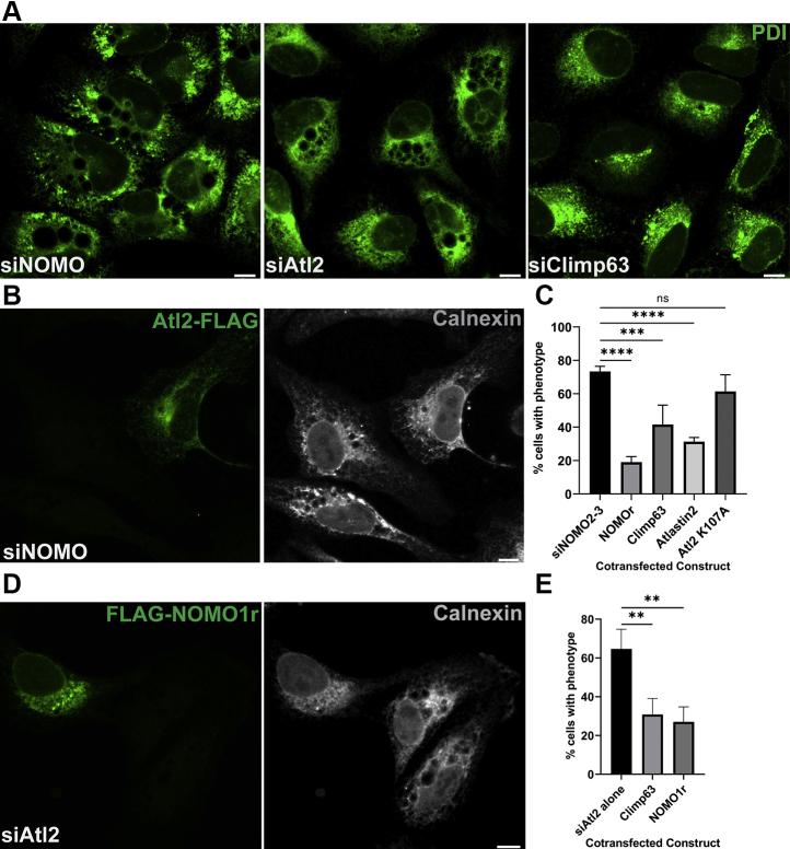 Figure 3