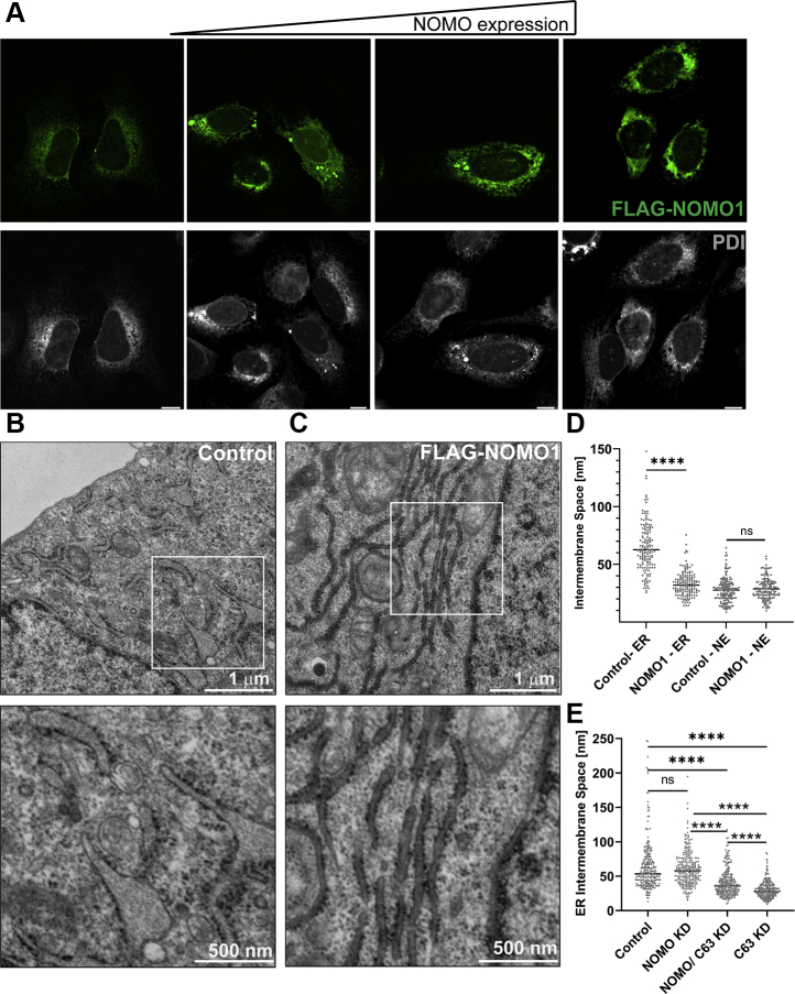 Figure 6