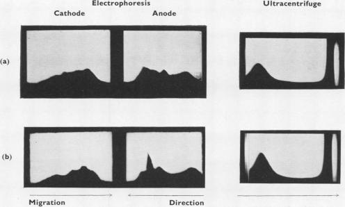 graphic file with name brjindmed00227-0019-a.jpg