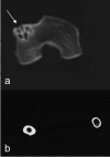 Fig 6