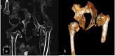Fig 7