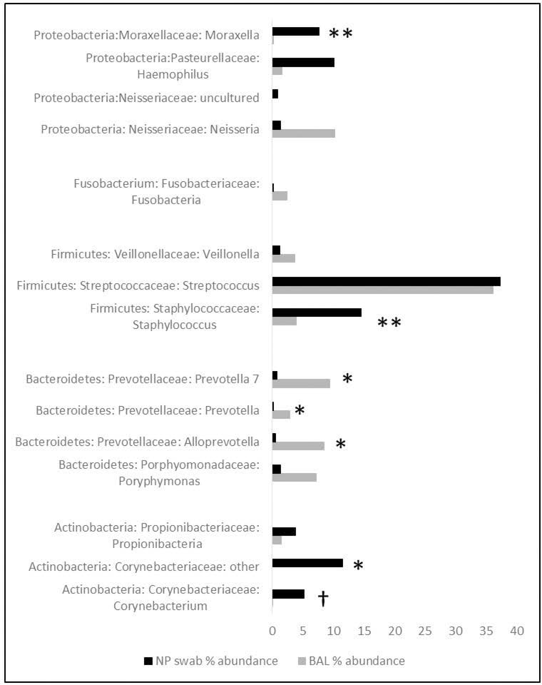 Figure 6: