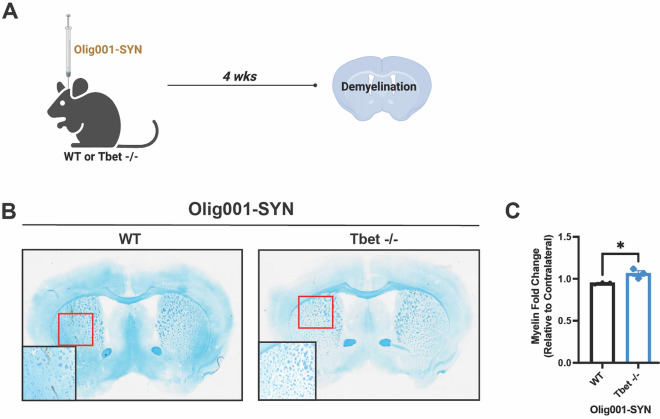 Fig. 3