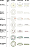 Extended Data Fig. 2