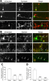 Figure 10.