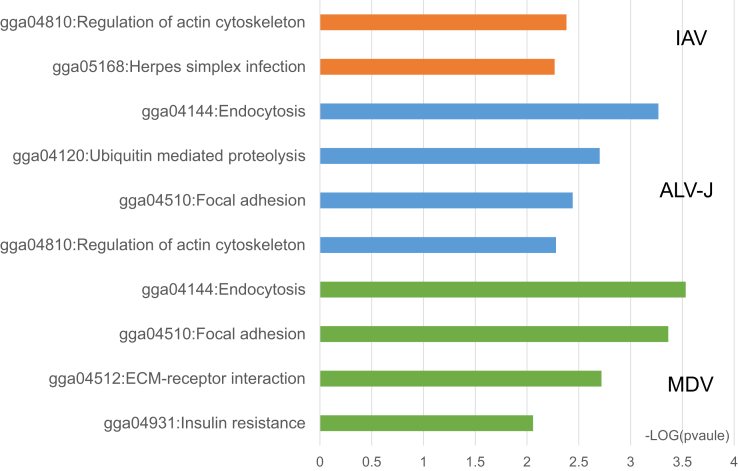 Figure 2