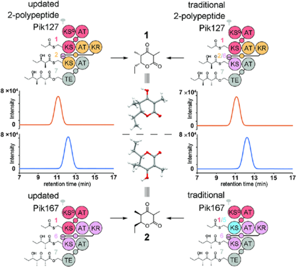 Figure 4.