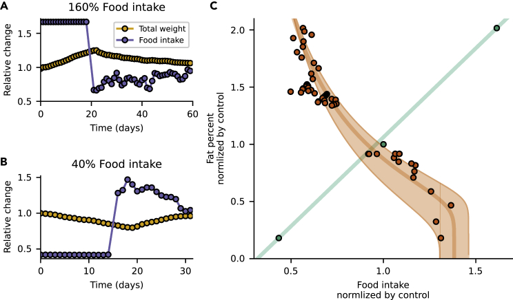 Figure 2