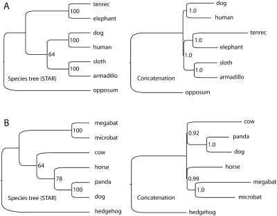 Figure 4.