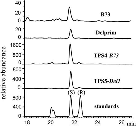 Figure 2.