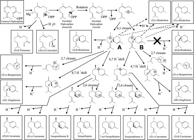 Figure 11.