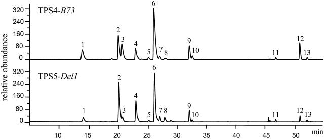 Figure 5.