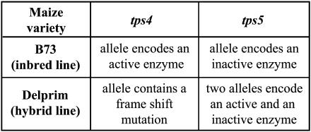 Figure 13.