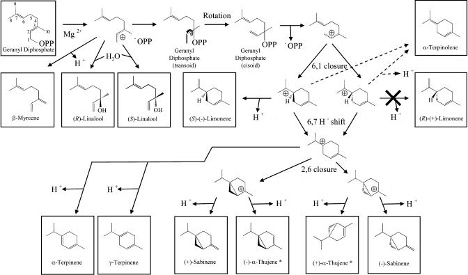 Figure 12.