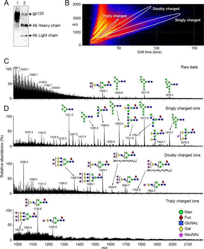 FIG 1