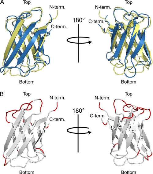 FIGURE 4.