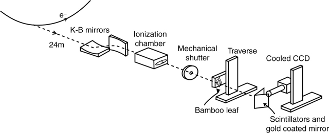 Fig. 1.