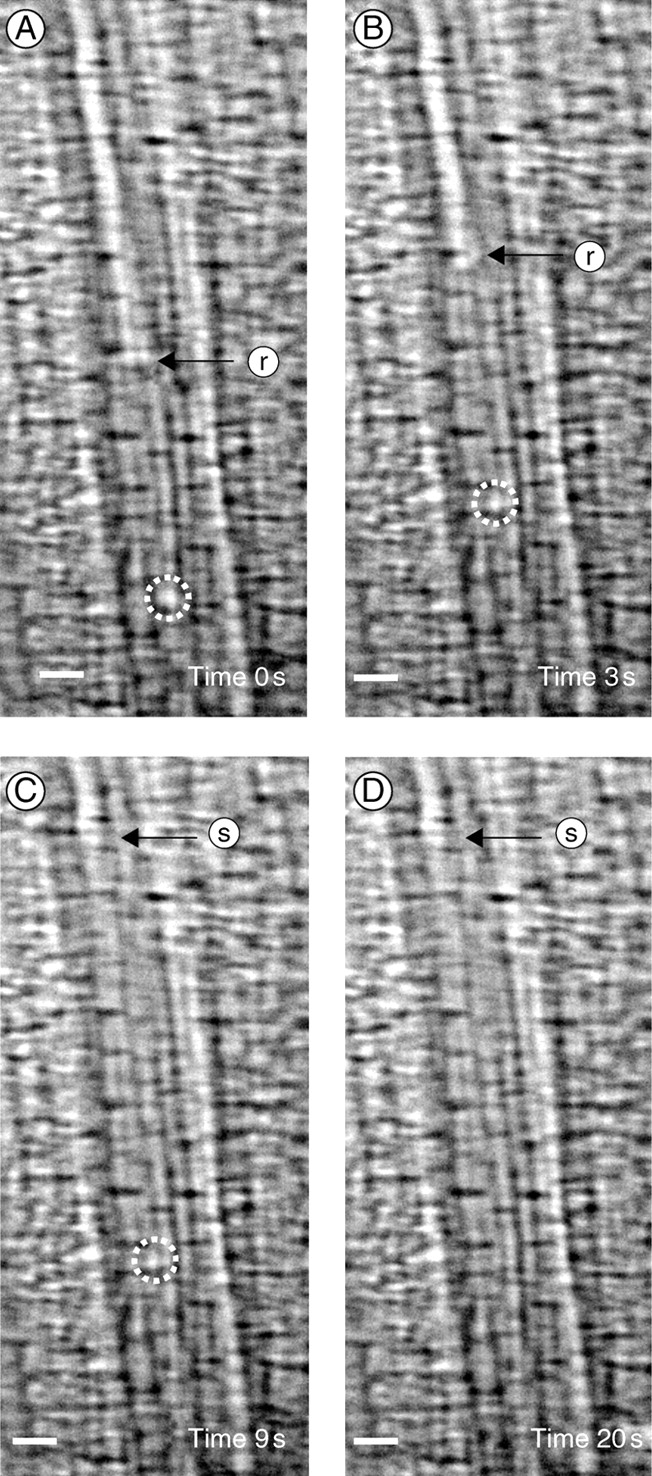 Fig. 5.