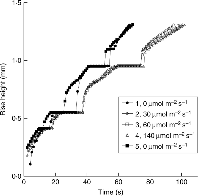 Fig. 7.