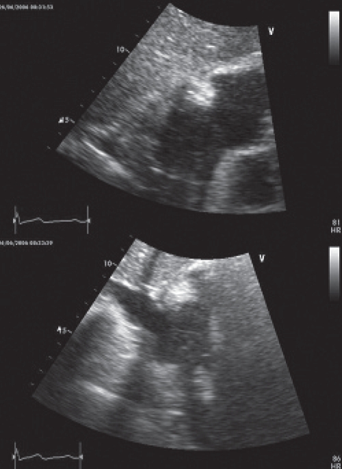 Figure 1)