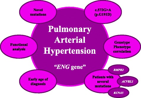 Graphical Abstract