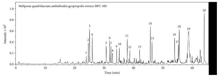 Figure 1