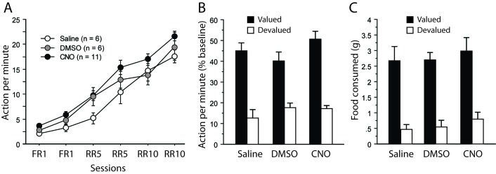 Appendix 1—figure 1.