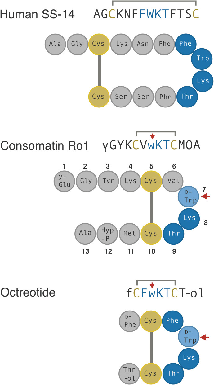 Fig. 3.