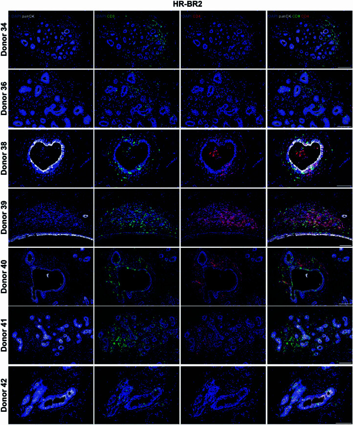 Extended Data Fig. 8