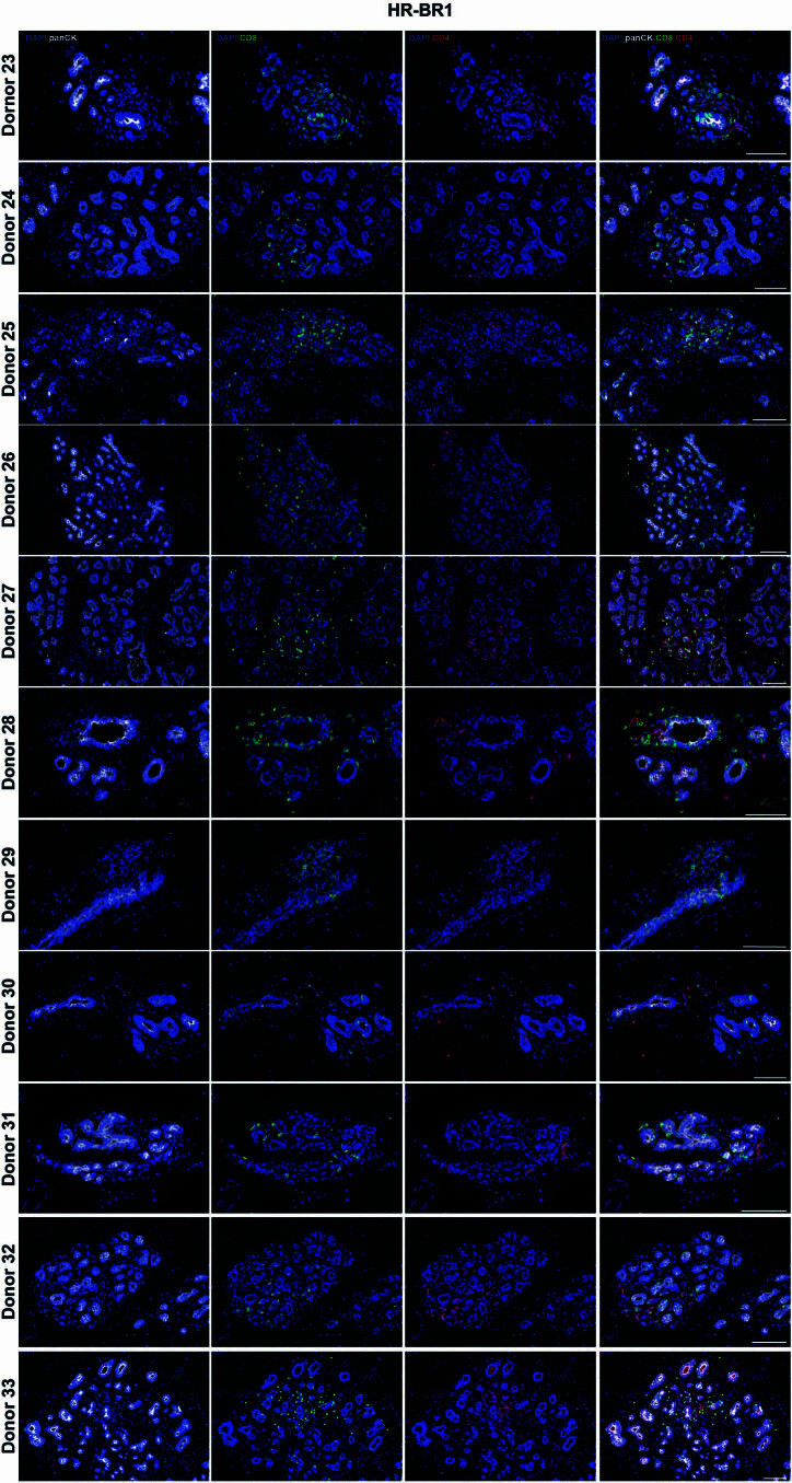 Extended Data Fig. 7