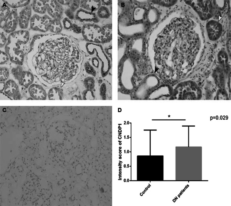 Fig. 7