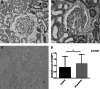 Fig. 7