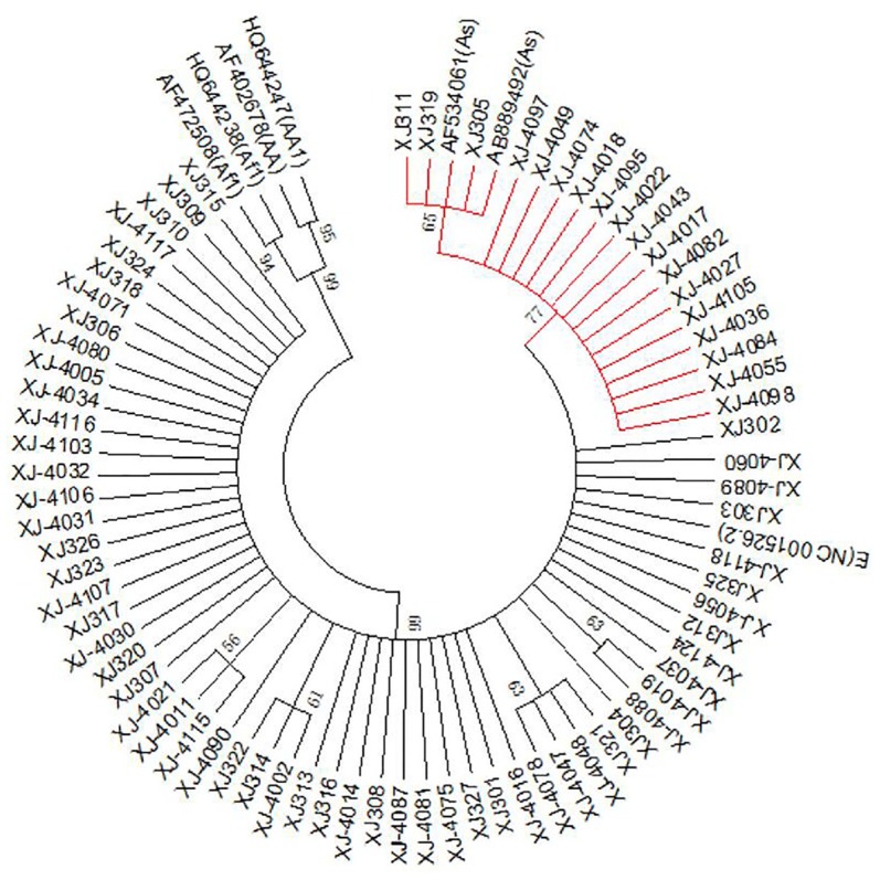 Fig. 1