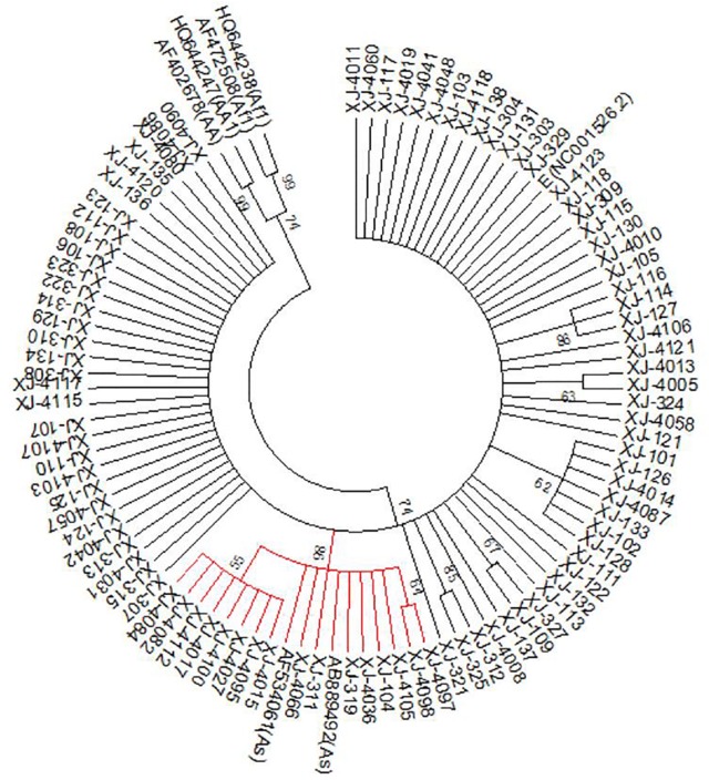 Fig. 2