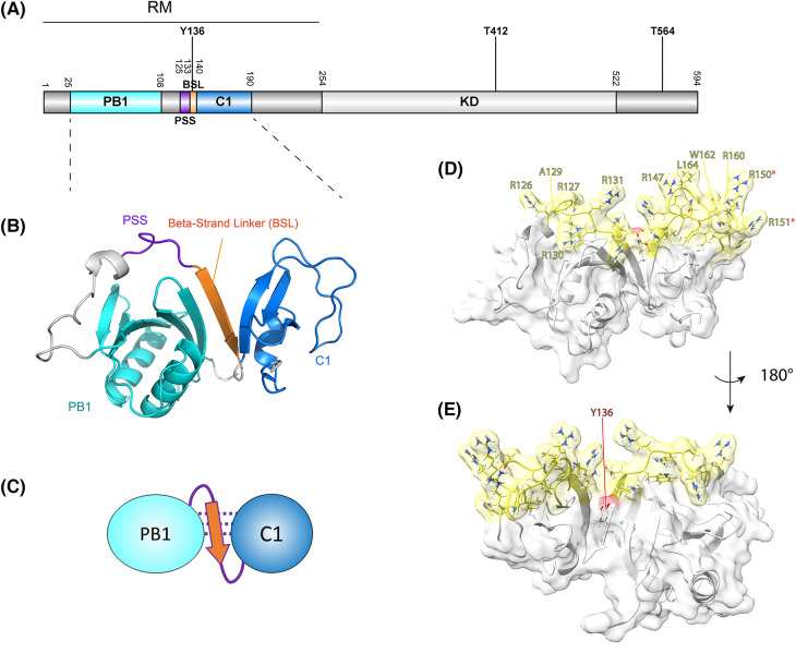 Figure 1.