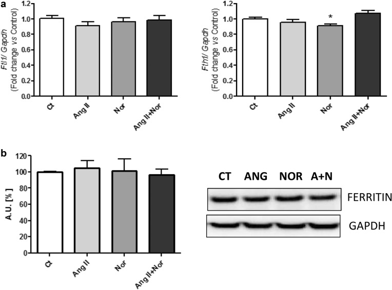 Fig. 10